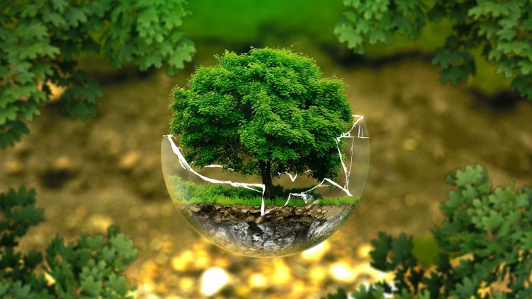 Environmental Law