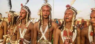 cultural heritage of Niger