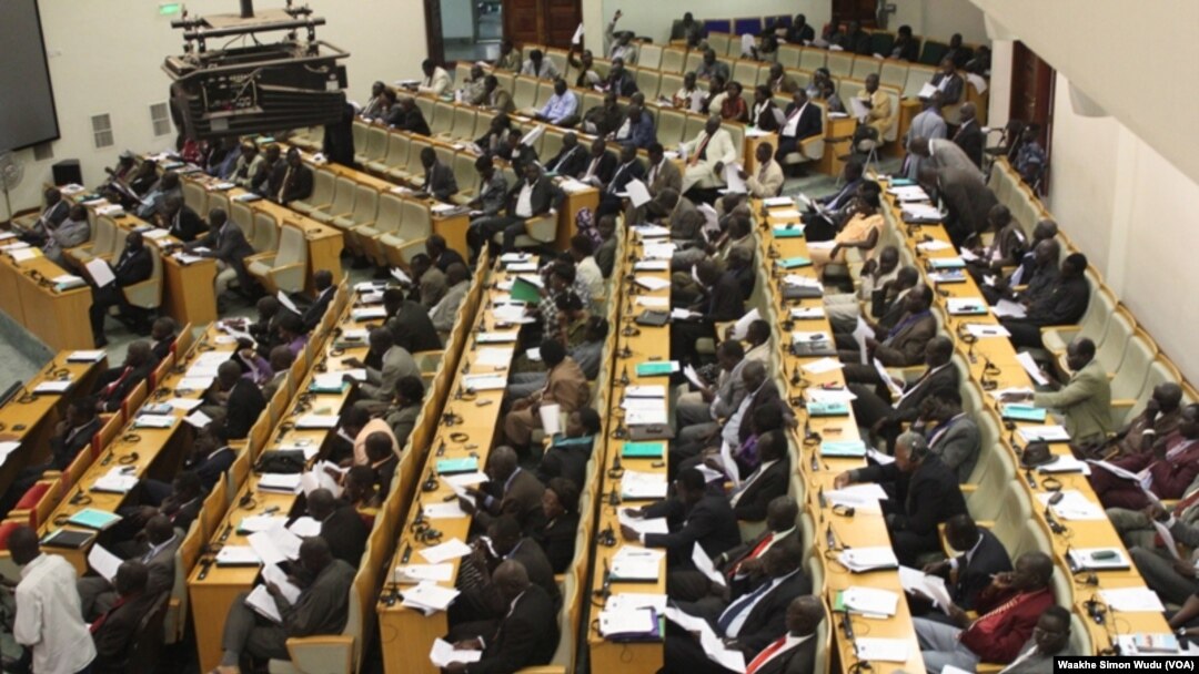 National Legislative Assembly South Sudan
