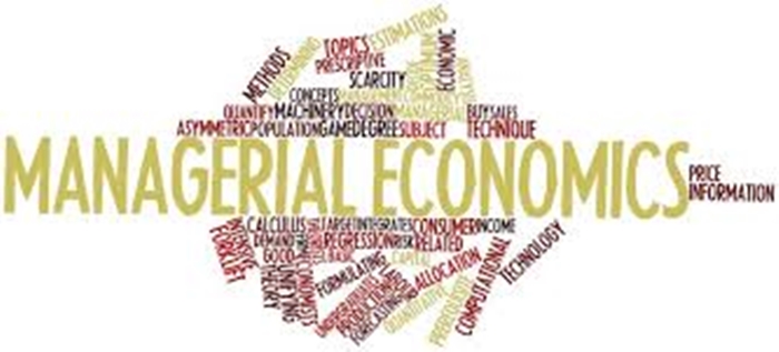 Managerial Economics