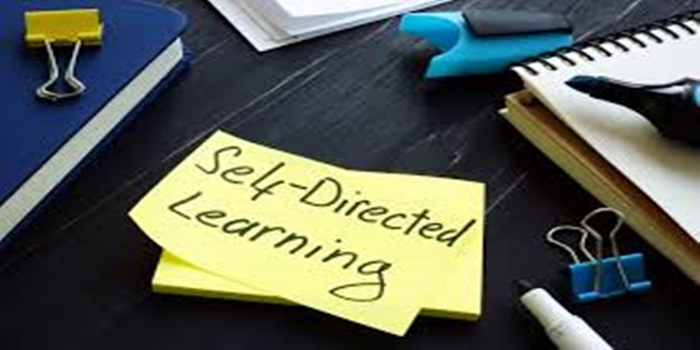 Understanding Self-Directed Learning