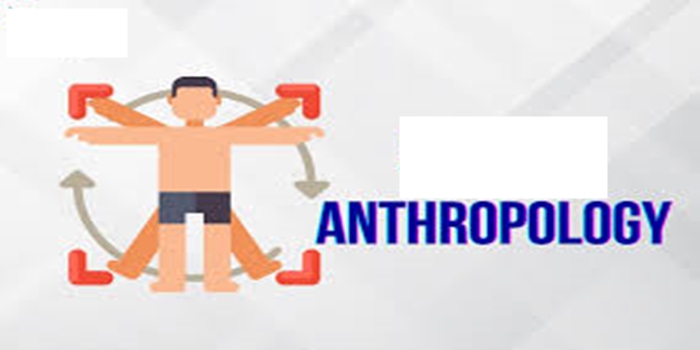 Business Anthropology Course