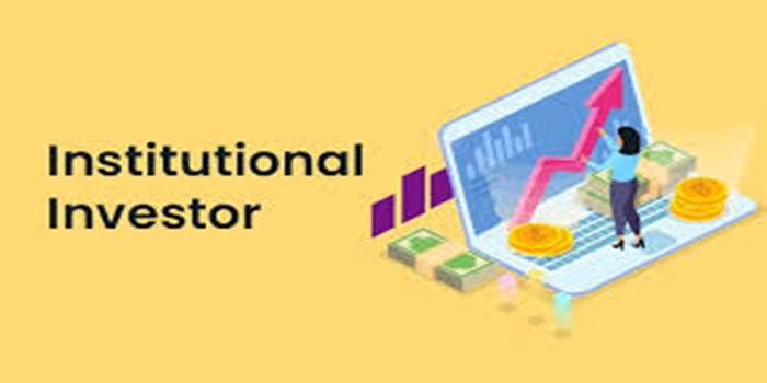 Institutional Investors