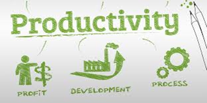 Productivity and Organization