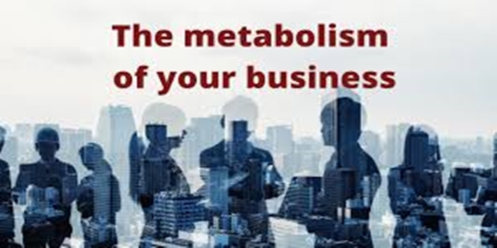 The Corporate Metabolism