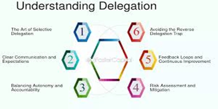 The Paradox of Delegation in Startups