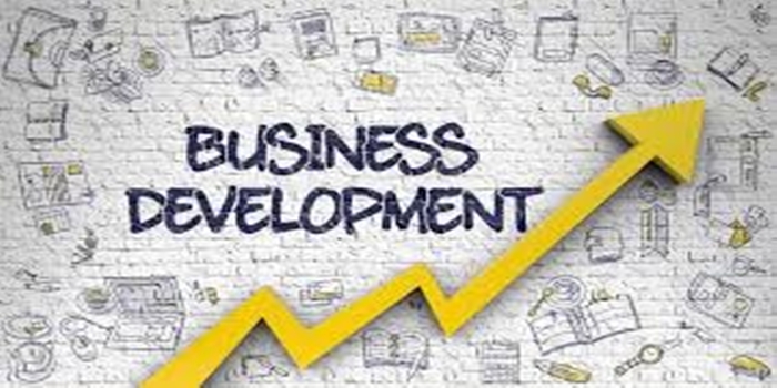 Creative Medium Business Development