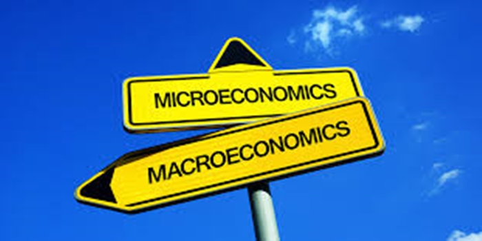 Micro vs. Macro Economics
