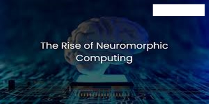 The Rise of Neuromorphic Computing