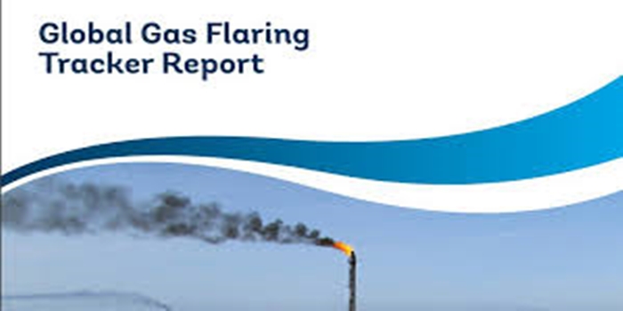 Flaring Reduction Goals