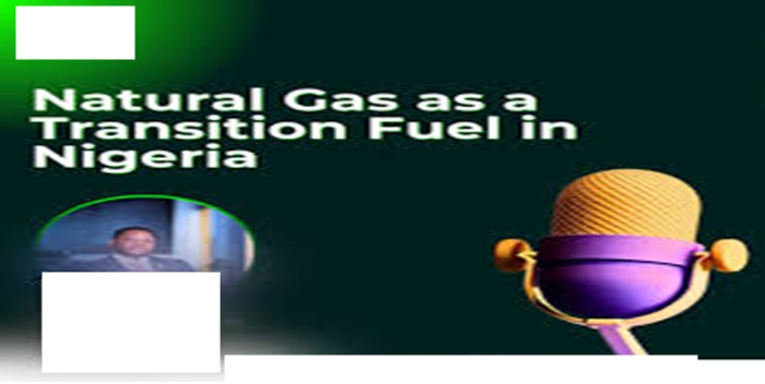 Natural Gas as a Transition Fuel