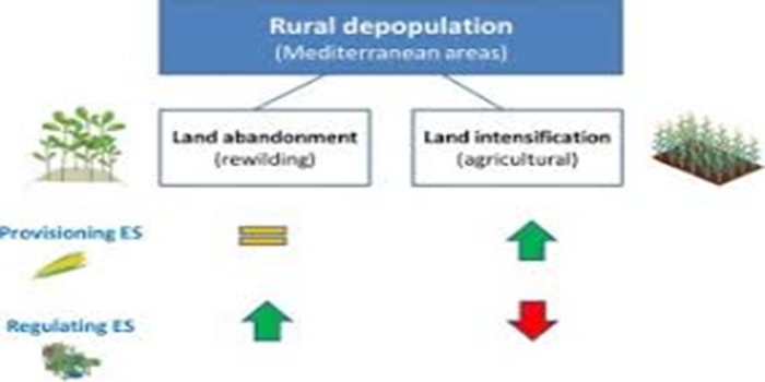 The Economic Impact of Rural Depopulation