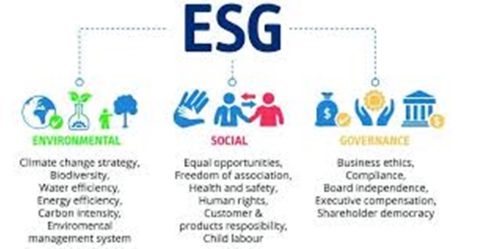 The Evolution of Environmental, social and Government