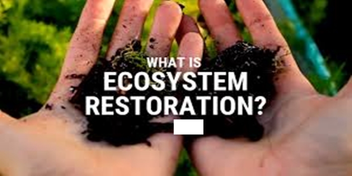 Ecological Restoration Laws