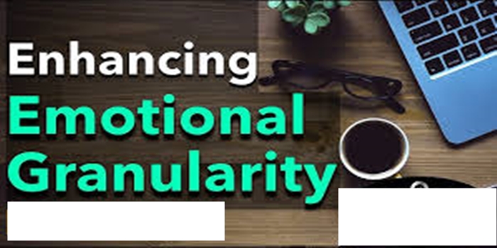 The Concept of Emotional Granularity