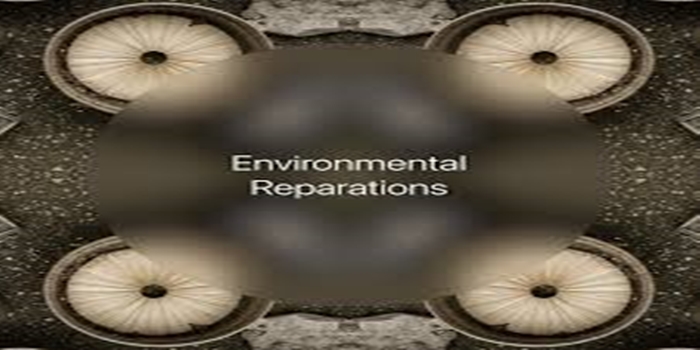 The Concept of Environmental Reparations