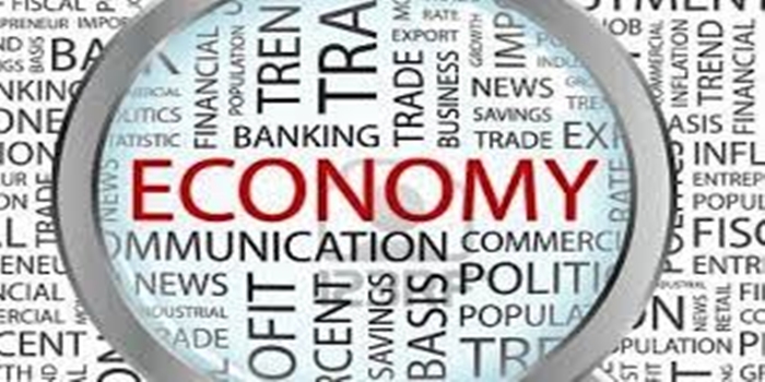 The Economics of Activism