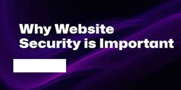 The Importance of Regular Website Security