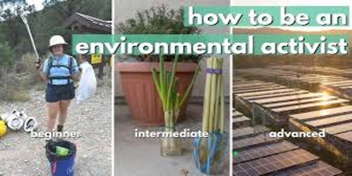 Understanding Environmental Activism