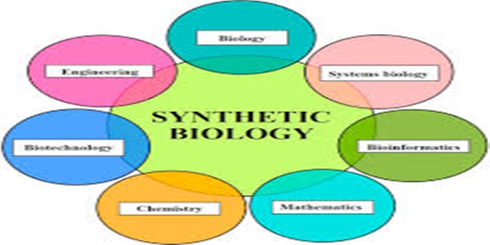 Understanding Regulating Synthetic Biology