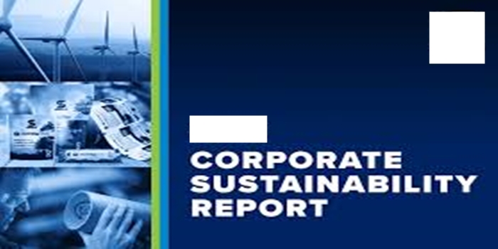 Corporate Sustainability in Oil