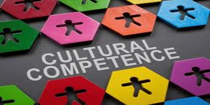 The Concept of Cultural Competence