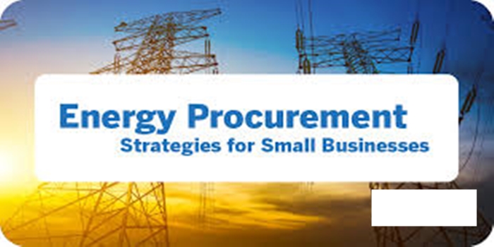 The Concept of Energy Sector Procurement