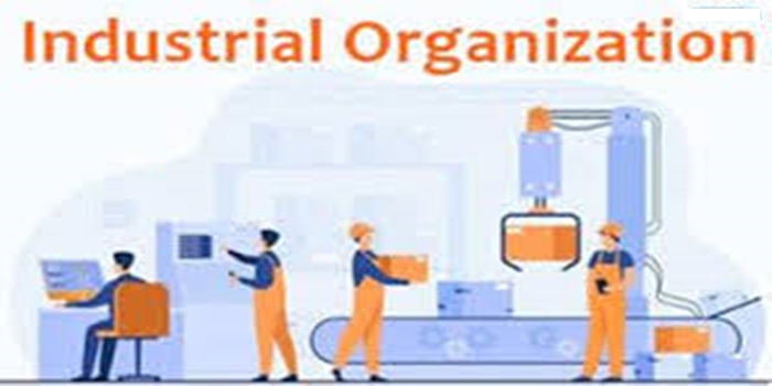 The Concept of Industrial Organization