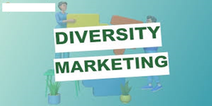 The Concept of Marketing Diversity