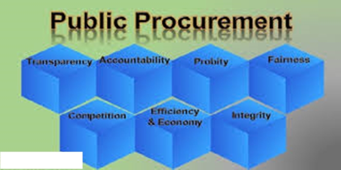Transparency in Public Procurement