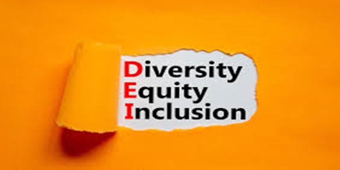 Understanding Diversity Without Equity