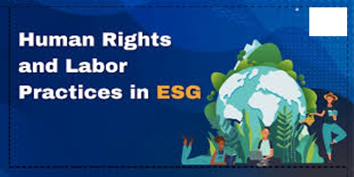 Manual Labor and International Human Rights Standards