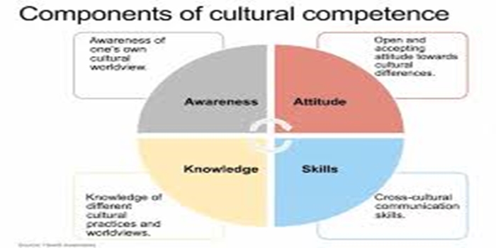 The Concept of Cultural Competence