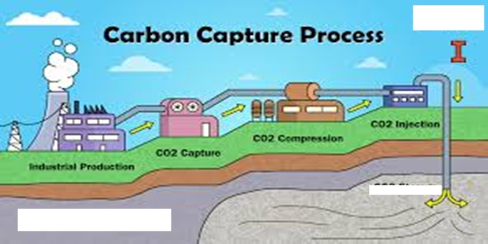 The Future of Carbon Capture and Storage