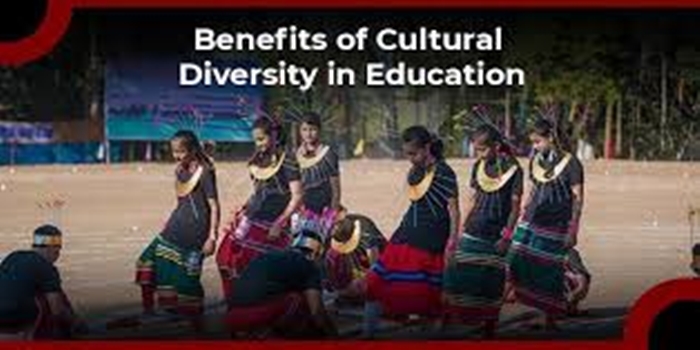 The Impact of Cultural Diversity in Academy