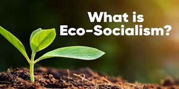 The Rise of Eco-Socialism