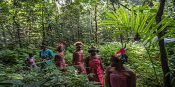 The Role of Indigenous Communities in Global Carbon Conservation