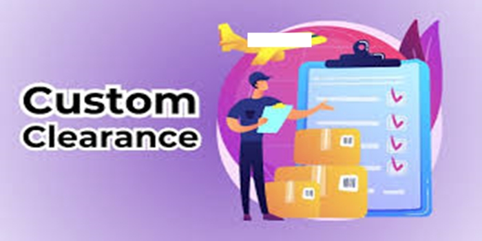 Understanding Customs Procedures