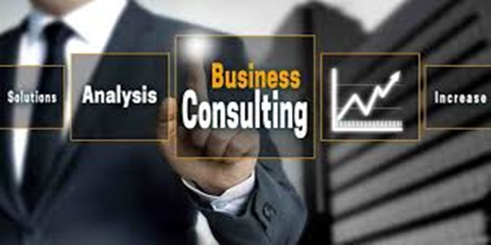 How Consultants Help Businesses Scale Sustainably