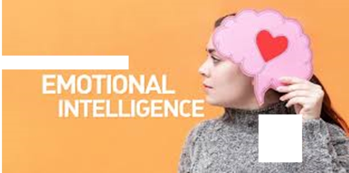 Emotional Intelligence in Project Leadership