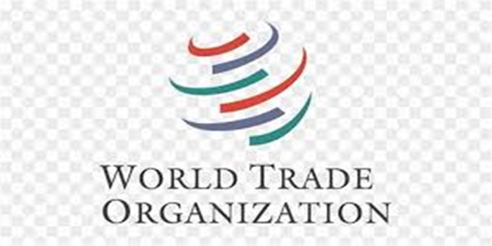 How the World Trade Organization is Shaping Global Trade