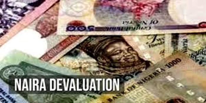Naira Devaluation and the Politics Behind It