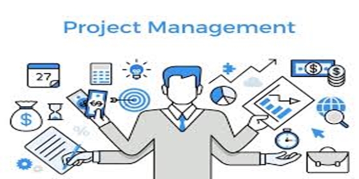 The Future of Project Management in a Digital World