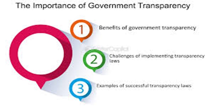 Understanding Government Transparency in the Digital Era