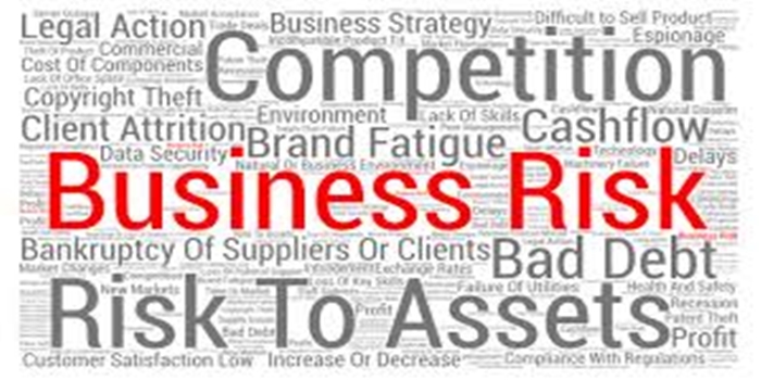 Understanding Risk Allocation Through Contracts