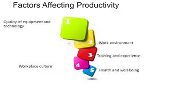 How Equipment Choice Impacts Worker Productivity