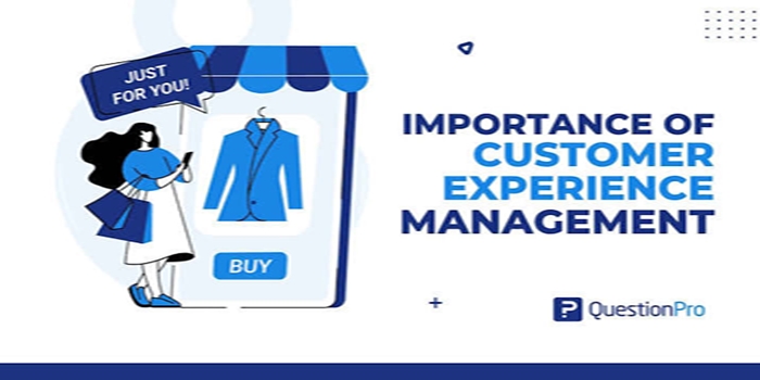 The Importance of Customer Experience in Business Growth
