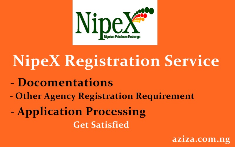 NipeX Registration Service or Agent
