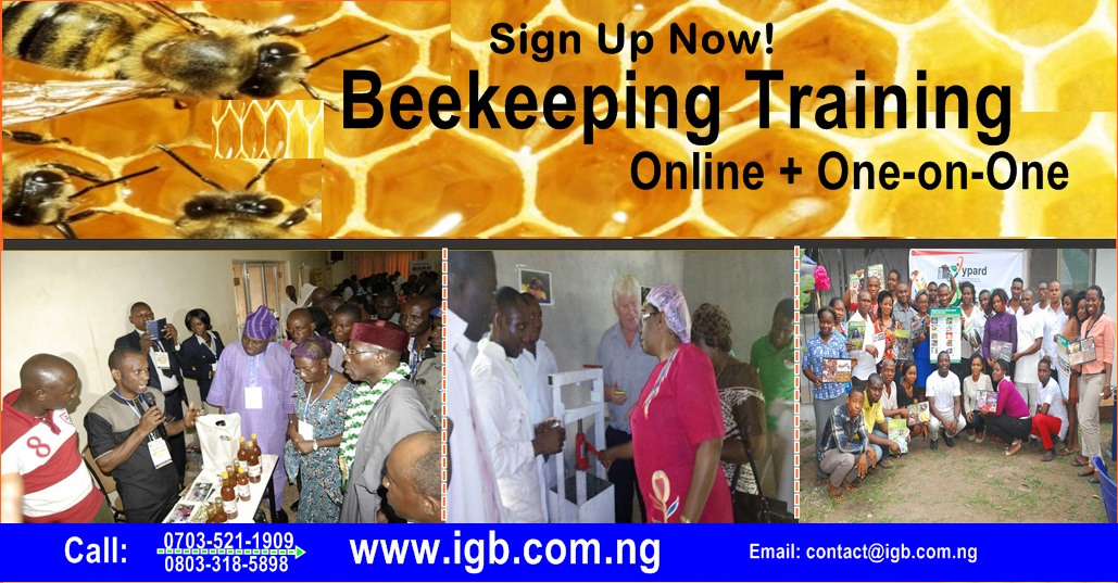 Beekeeping training in Nigeria