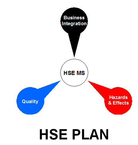HSE and Local Content Policy Plan